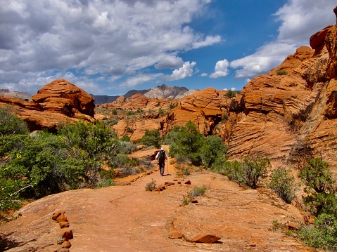 This spectacular short hike in Snow Canyon State Park threads through the rocky terrain below the Petrified Dunes, and to the Hidden Pinyon Overlook.