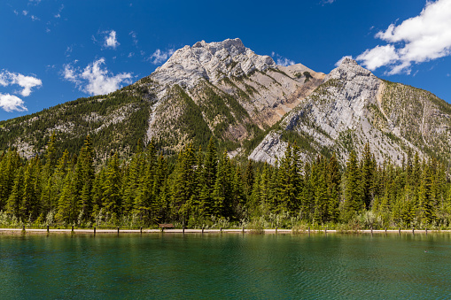 A colorful pond in front of a majestic mountain in Kananaskis Country, Alberta. There is a paved pathway, with a bench, along the edge of the pond. The depth of field is large. Photo taken in summer on a sunny day.