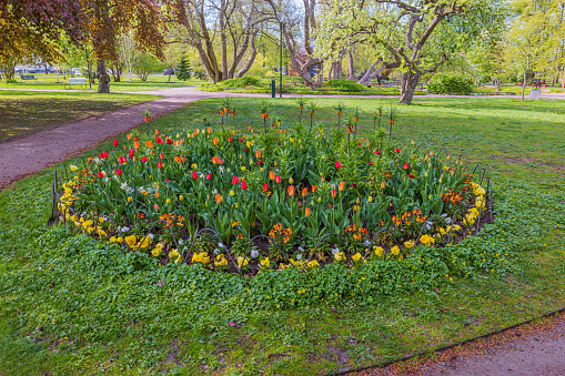 Beautiful view of beautiful colorful flower bed on green lawn background in park. Sweden.