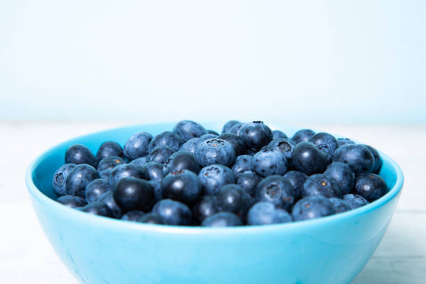Fresh Blueberry