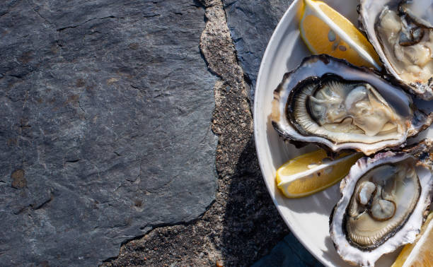 ostras abertas em um prato, com cunhas de limão, em um fundo de pedra cinza. - prepared oysters prepared shellfish shucked seafood - fotografias e filmes do acervo