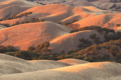 Soft Sunset Colors Painting California Golden Hills. Mission Peak Regional Preserve, Alameda County, California, USA.