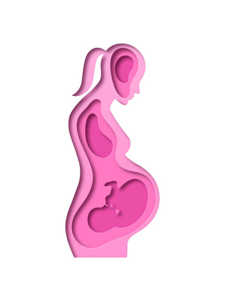 istock Realistic paper cut pregnant woman with baby inside 1411509705