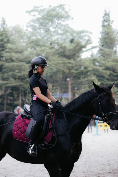 istock A young woman performs extended trot with her beautiful young stallion 1411510710