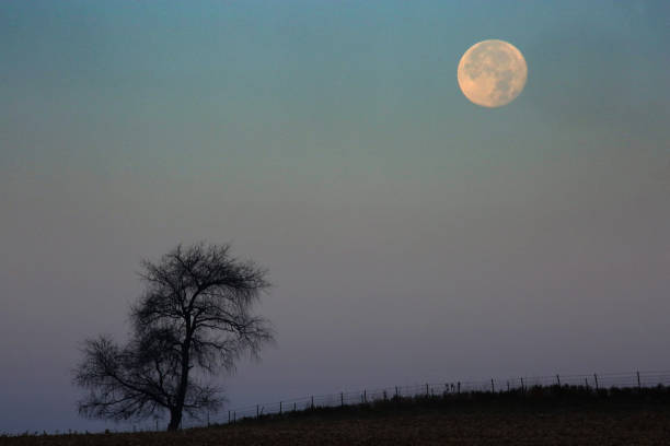 istock Full Moon Sets in Iowa 1411517591