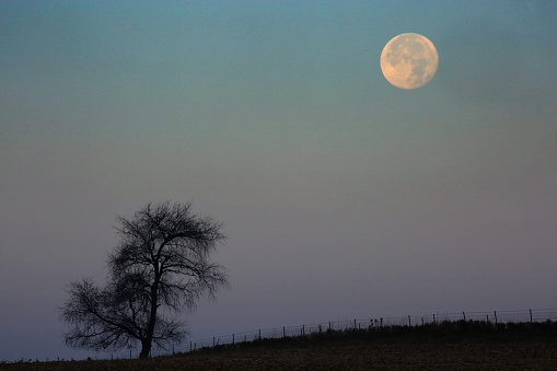 A full moon sets beyond a fenceline in rural Warren County, Iowa.