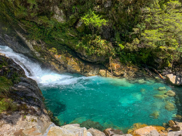 Falls Creek Waterfall, Milford Sound, New Zealand stock photo