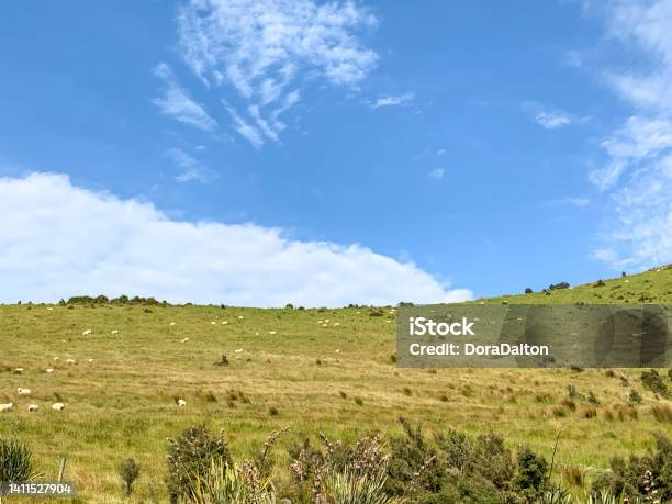 Lumsdendipton Hwy Road Trip In Josephville South Island New Zealand Stock Photo - Download Image Now