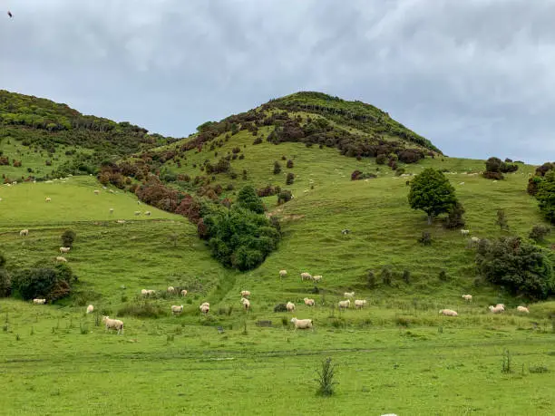 Photo of A ranch at Purakaunui Falls Road, Tarara, Otago, New Zealand