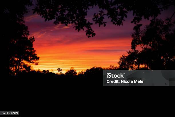 A Disney Sunset Stock Photo - Download Image Now - Travel, Travel Destinations, Color Image