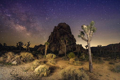 This is a long exposure at night with the Milky Way in the background during spring time in Joshua Tree National Park in California, USA.