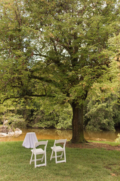 istock Two White Chairs and a Small White Circle Table Under a Tamarind Tree for an Outdoor Wedding Ceremony in July in Palm Beach, Florida 1411532224