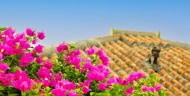 Bougainvillea and Shisa on the roof.\nOkinawa city scape in summer.\nOkinawa Prefecture in Japan.