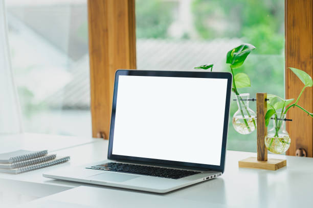 istock Stylish workspace with laptop computer, office supplies, plant. 1411536335