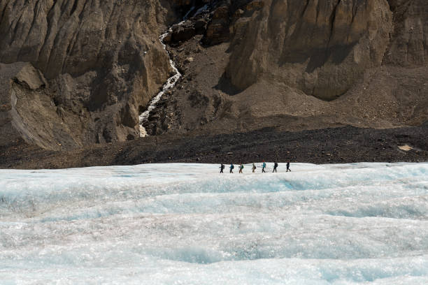 athabasca glacier hike, jasper, canada - jasper kanada bildbanksfoton och bilder
