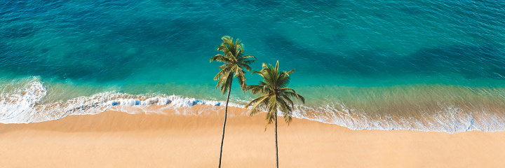 Aerial drone view beautiful untouched tropical beach banner with palm trees and clear water. Perfect shore with sand and coco palms travel tourism wide panorama background concept. Amazing beach landscape. Luxury island resort vacation or holiday landscape