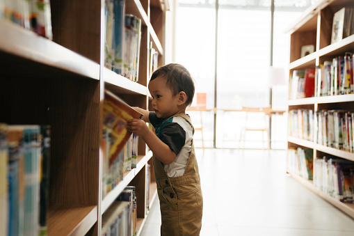 Little boy flicking trough books in a library. Natural light.