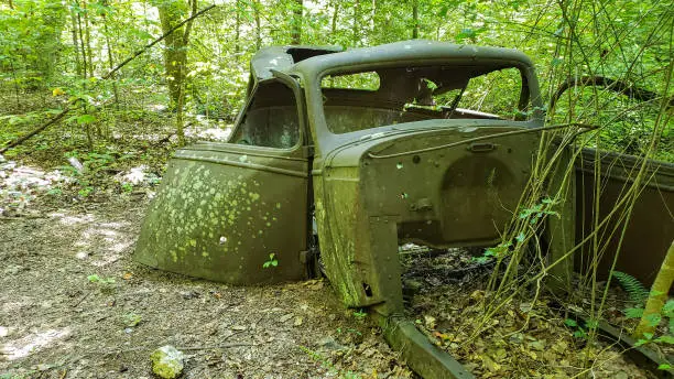 Old Model A found in the the forest