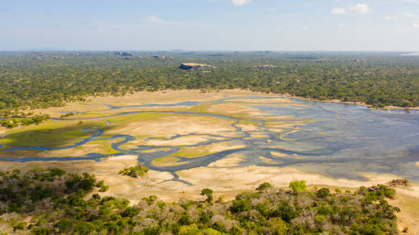 istock Tropical landscape with a lake. Sri Lanka. 1411556755
