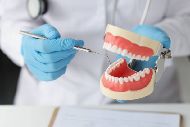 istock Dentist holds dental tool and jaw with beautiful teeth 1411556780