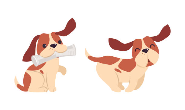 illustrazioni stock, clip art, cartoni animati e icone di tendenza di jack russell terrier cucciolo con macchie marroni che corrono e trasportano set vettoriale di giornali - tame