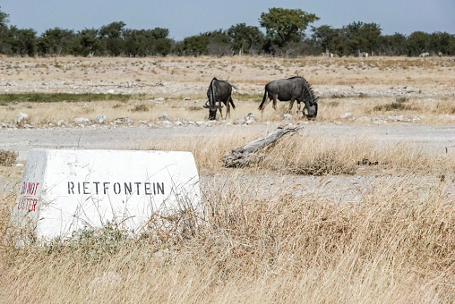 Rietfontein Waterhole Road Sign in Etosha National Park at Kunene Region, Namibia