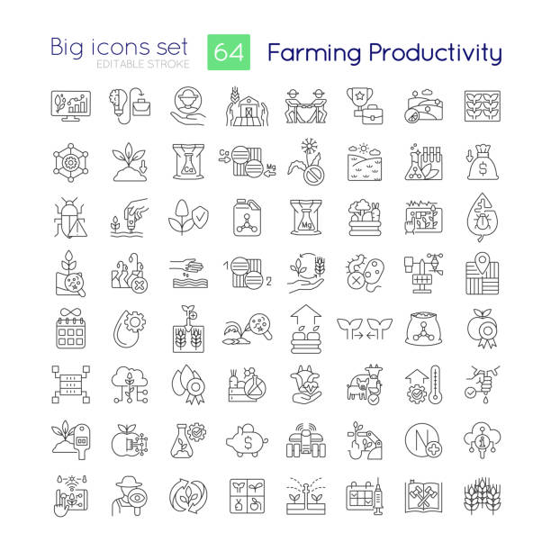 illustrations, cliparts, dessins animés et icônes de ensemble d’icônes linéaires de productivité agricole - étape de végétation