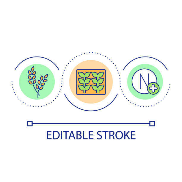 Nitrogen importance loop concept icon Nitrogen importance loop concept icon. Essential nutrient for plants. Seedlings. Growing grains abstract idea thin line illustration. Isolated outline drawing. Editable stroke. Arial font used nitrogen icon stock illustrations