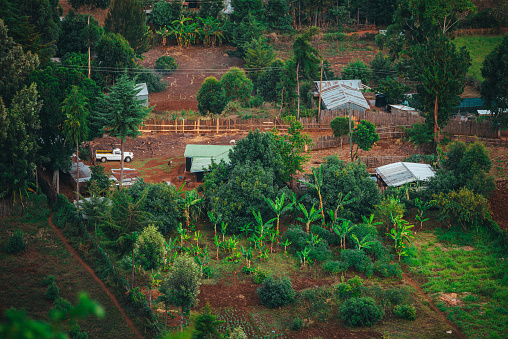 A view of a simple rural homestead in Kenya. A simple, poor life in Africa. Modest houses and farm land