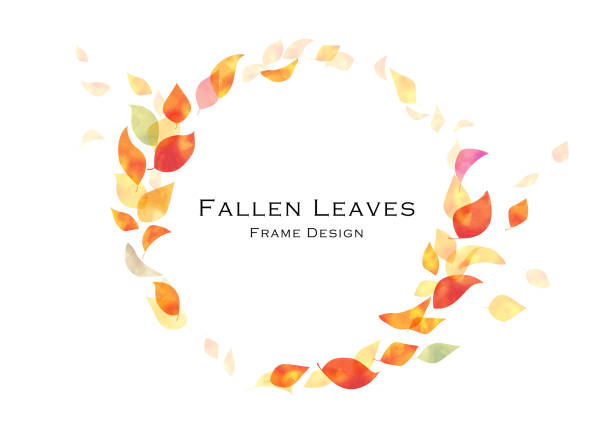 ilustrações de stock, clip art, desenhos animados e ícones de hand painted, watercolor, fallen leaves frame design - autumn leaf white background land