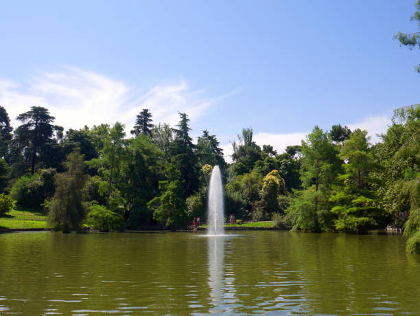 Madrid, Spain; July 1 2022: Retreat Gardens in the city center. Madrid, Spain; July 1 2022: Retreat Gardens in the city center. summer flower lake awe stock pictures, royalty-free photos & images