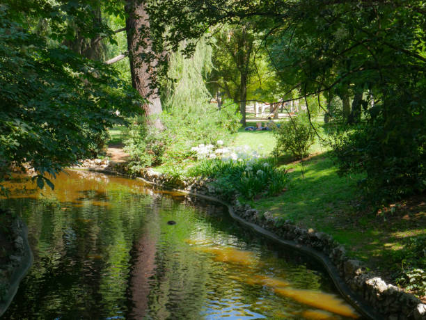 Madrid, Spain; July 1 2022: Retreat Gardens in the city center. Madrid, Spain; July 1 2022: Retreat Gardens in the city center. summer flower lake awe stock pictures, royalty-free photos & images