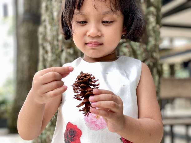 istock Little girl holding pine cone tree 1411569743