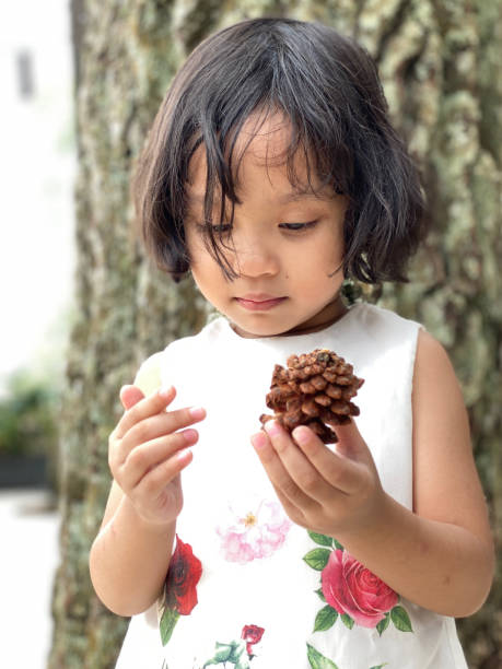 istock Little girl holding pine cone tree 1411569803