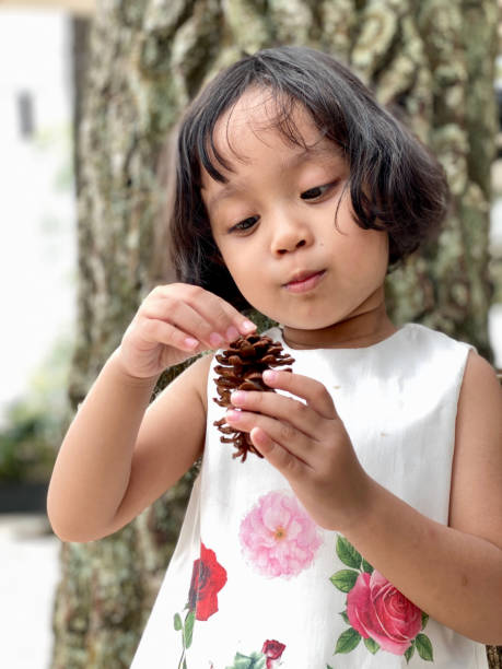 istock Little girl holding pine cone tree 1411569833