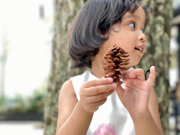 istock Little girl holding pine cone tree 1411569867