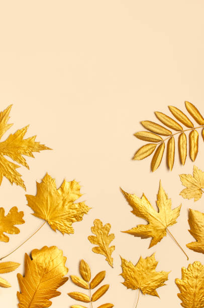 istock Flat lay creative autumn composition. Golden leaves on beige background top view copy space. Fall concept. Autumn background. Minimal concept idea, floral design 1411574802