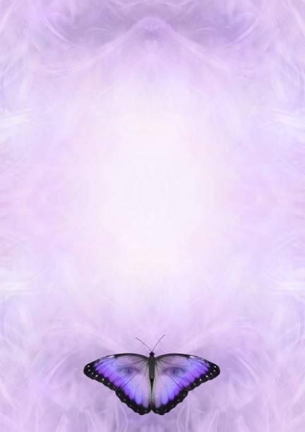 istock Holistic butterfleyes concept  background 1411575642