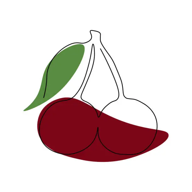 Vector illustration of Cherry drawing drawn with one continuous line