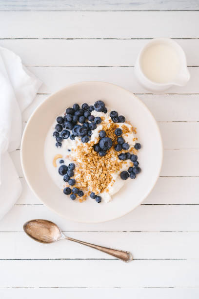 istock Curd cheese with granola and blueberries 1411576905