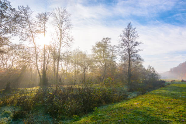 istock landscape with forest and meadow in morning mist 1411577589
