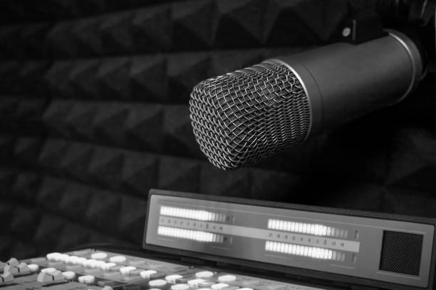 istock Professional microphone and sound mixer 1411580131