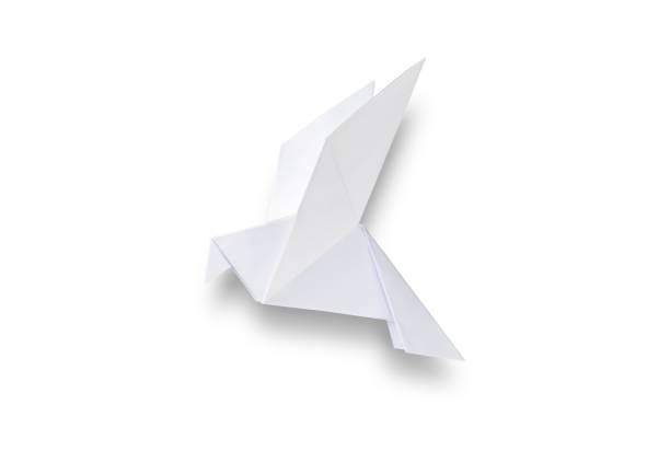 istock Paper dove origami isolated on a white background 1411582018