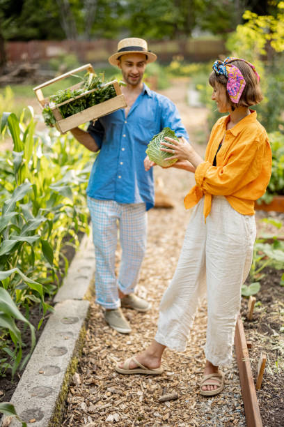 istock Farmers with freshly picked vegetables at garden 1411582081