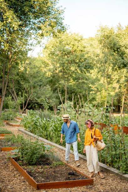 istock Farmers walk at farmland during sunset 1411583039