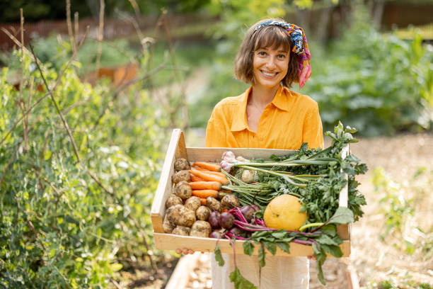 istock Young farmer with freshly picked vegetables at garden 1411583347