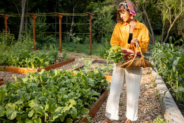 istock Young farmer with freshly picked vegetables at garden 1411586493