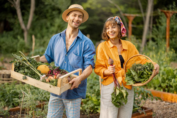 istock Farmers with freshly picked vegetables at garden 1411587289