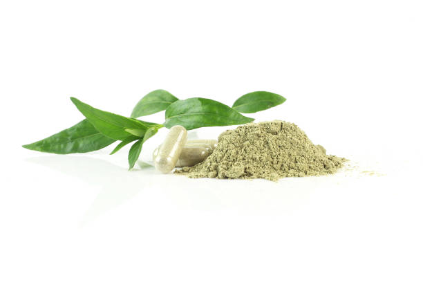 istock Andrographis paniculata (Green chiretta) - herbal medicine in capsule and fresh leaves on white background - Natural herbal 1411588213