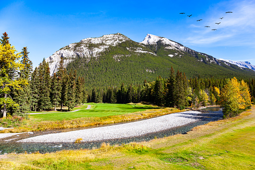 Surroundings of the small picturesque town of Banff in the Rocky Mountains of Canada. The mountains are covered with dense spruce forest. Shallow stream with a pebbly bottom.
